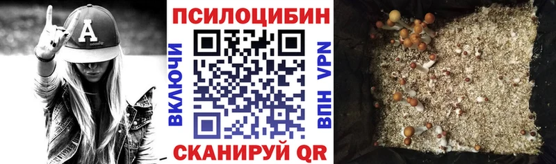 Галлюциногенные грибы прущие грибы  Купить закладки  Гуково 
