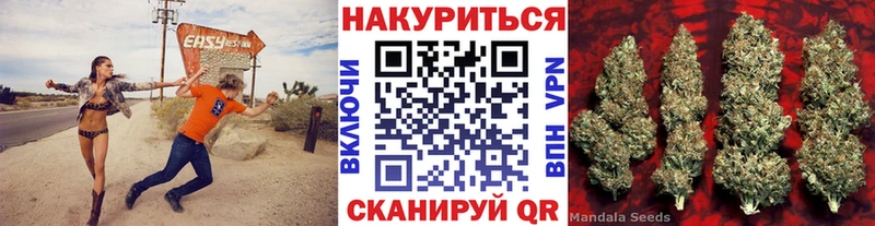 Конопля Amnesia Купить где Гуково